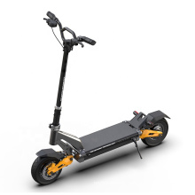 New Best selling Citycoco 2000w adult electric scooters